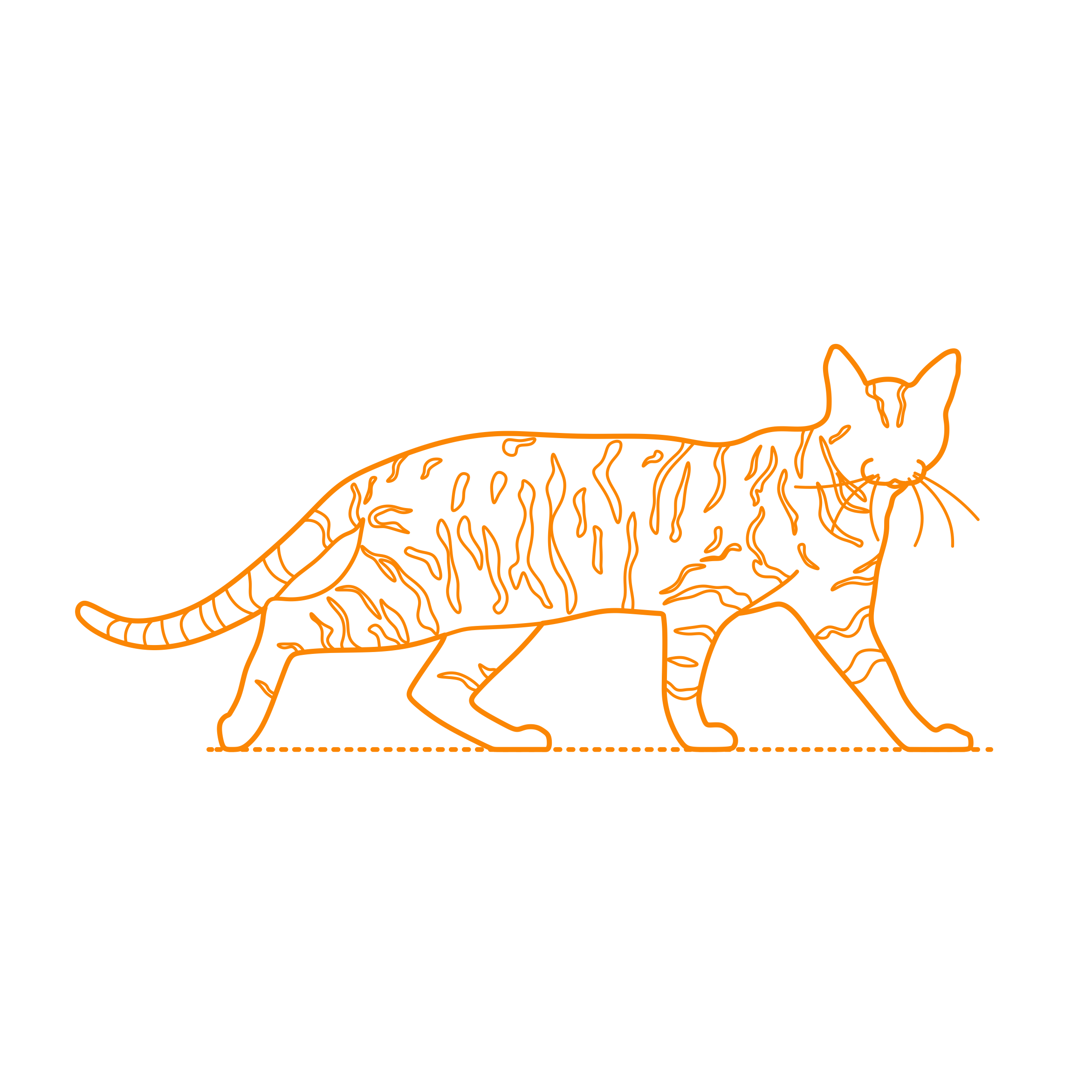 Animals Cats Toyger Cat Sketch Svg Vector Free Vectors